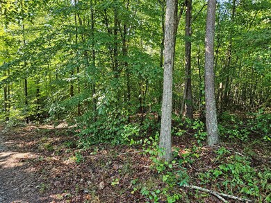 0 Abilene Rd unit 1 57687, Keysville, VA 23947 - photo 5