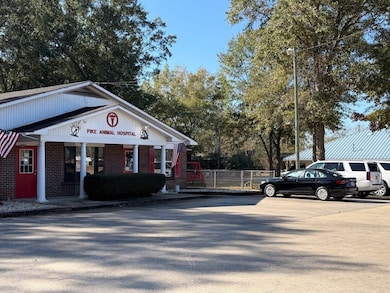 162 Enzor Rd, Troy, AL 36079 - photo 3