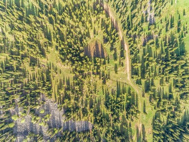 Lot 14 Towering Pines, Big Sky, MT 59716 - photo 4