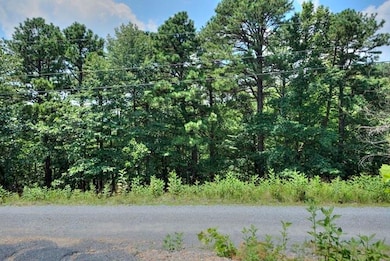 TBD Laurel Ridge Ln, Lyndhurst, VA 22952 - photo 5