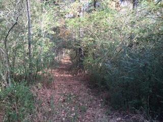 0 Highway 64 W unit 1999361, Shelbyville, TN 37160 - photo 5