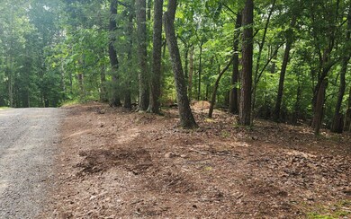 Additional View