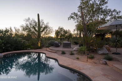pool & backyard oasis