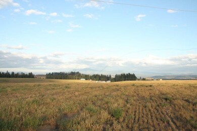 XXXX N Division Rd Tract 7, Colbert, WA 99005 - photo 5