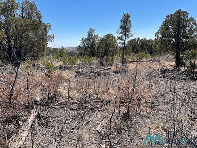 239 Anders Rd, Timberon, NM 88350 - photo 4