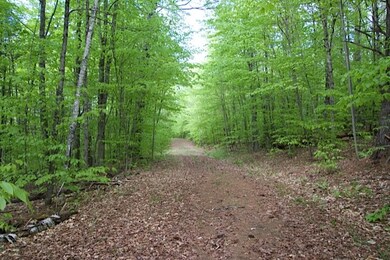 0000 Kipling Trace, Hartford, VT 05059 - photo 5