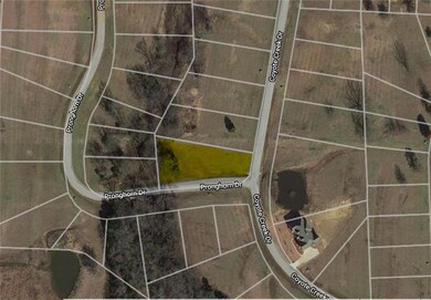 Lot 17 Coyote Creek Dr, Gordonville, TX 76245 - photo 2