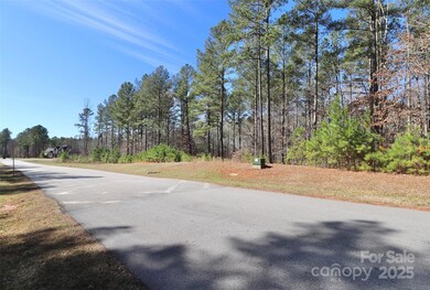 1092 Ledge Wood Ln unit 16, Clover, SC 29710 - photo 5