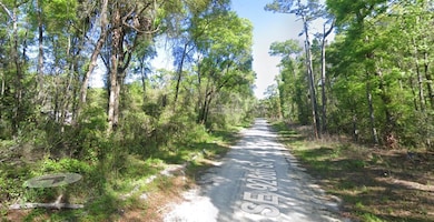 TBD SE 926th St, Old Town, FL 32680 - photo 3