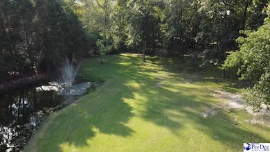 0 State Road S-21-869, Florence, SC 29501 - photo 4