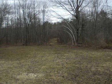 Yard/Garden.