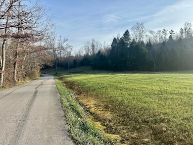 Lot 8 Hensley Rd, East Bernstadt, KY 40729 - photo 3