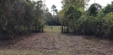 N Windsong Cir, Crawfordville, FL 32327 - photo 7