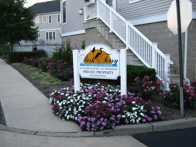 Welcome to Park Ferry