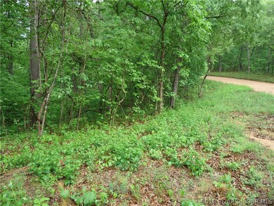 View From County Road 5