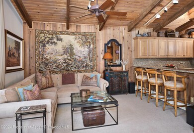 800 S Monarch St unit 6, Aspen, CO 81611 - photo 4