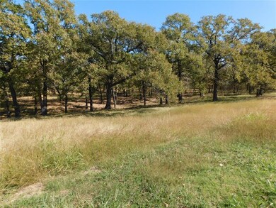 L 10 Waterside Dr, Corsicana, TX 75109 - photo 6