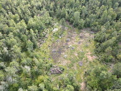 DJI_0190