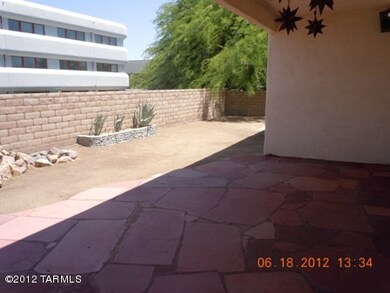 back yard 2