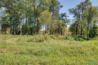 142 Easy St, Hazel Green, AL 35750 - photo 5