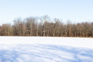 0 Barrs St SW unit 5104860, Massillon, OH 44647 - photo 4