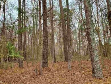 4713 Old Graham Rd, Pittsboro, NC 27312 - photo 3