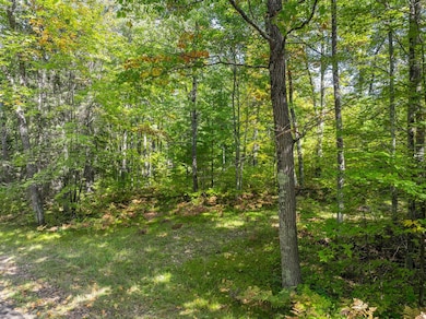 Lot 1 Lake Yawkey Dr, Hazelhurst, WI 54531 - photo 3