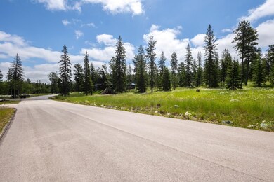 Lot 9 Block 8 Woodland Way, South Lawrence, SD 57754 - photo 7