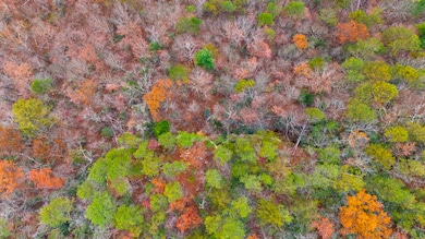 DJI_20251110134138_0029_D