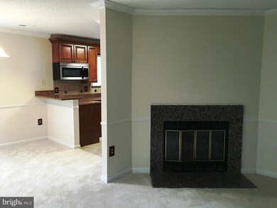 1929A Villaridge Dr unit 1929-A, Reston, VA 20191 - photo 5