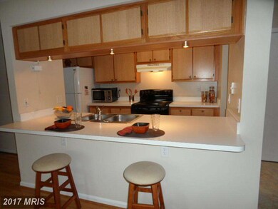 2802 Clear Shot Dr unit 536, Silver Spring, MD 20906 - photo 3