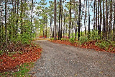 IMG_1989-copy