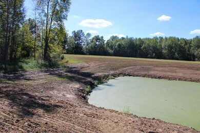 7530 W Private Rd 775 S, Commiskey, IN 47227 - photo 5