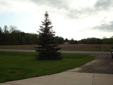 View Your view from the front porch!