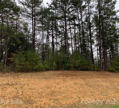 lot 12 River Birch Dr unit 12, Iron Station, NC 28080 - photo 3