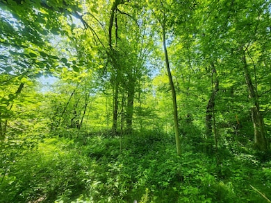 1.7 Marsh Rd unit 7, Erin, NY 14838 - photo 7