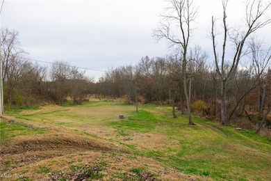 12160 Harvey Cir, Chippewa Township, OH 44270 - photo 4