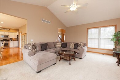 318 Granger Dr, Lagrange, OH 44050 - photo 4
