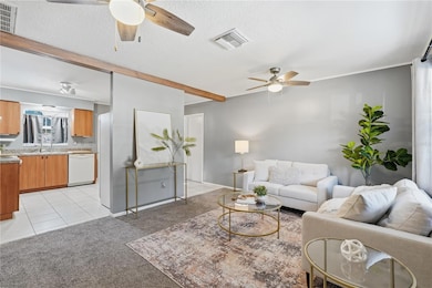 6637 Doon St, New Port Richey, FL 34653 - photo 2