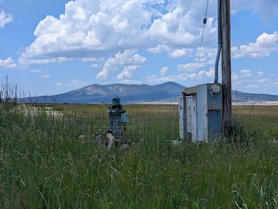 PXL_20250702_213601038