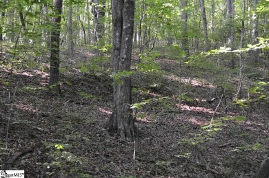 124 Old Flat Shoals Rd, Walhalla, SC 29691 - photo 5