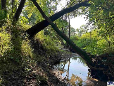 0 S Gorton Rd, Clinton Township, IN 47842 - photo 5