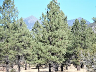 2 acre parcel 2