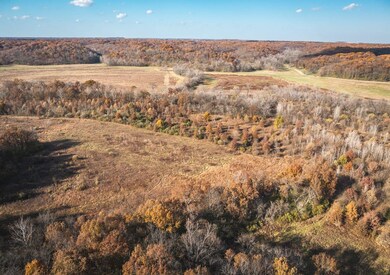 Tbd Sw 875 St, Jerseyville, IL 62052 - photo 7