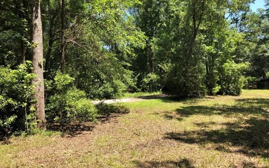 TBD Nikita Place, Lake City, FL 32055 - photo 4