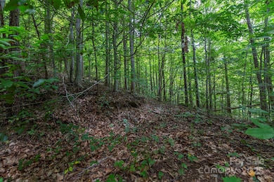 72 Applewood Ln unit 93, Weaverville, NC 28787 - photo 4