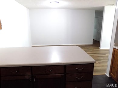 1003 Condo Dr, Rolla, MO 65401 - photo 7