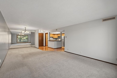 4710 58th Ave N unit 202, Minneapolis, MN 55429 - photo 4