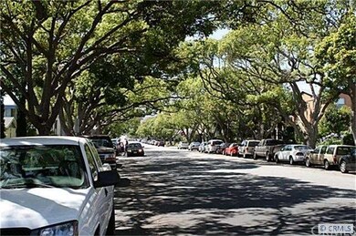 Tree-Lined Street