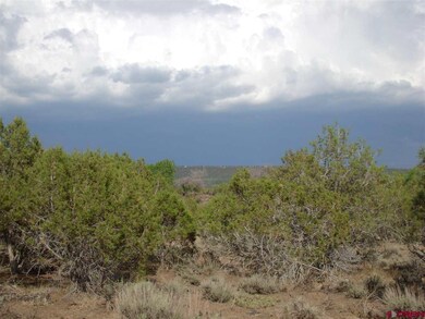 TBD Westridge Rd, Cedaredge, CO 81413 - photo 4